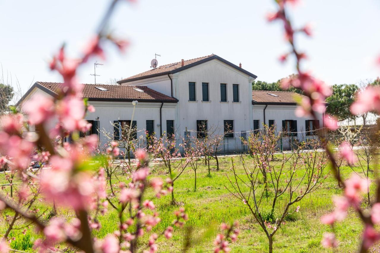 Agriturismo Ca' Baccan 카발리노 외부 사진